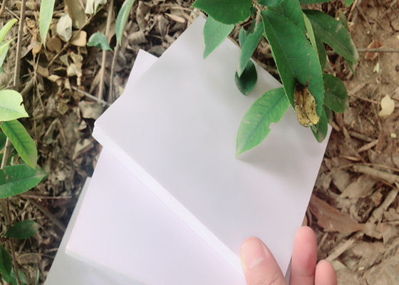White Color High Density Foam Insulation Board Excellent Energy Absorption